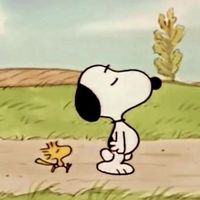 your_favchickennugget