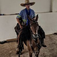 eduardoaparecido_e