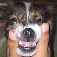 entretenimiento.plays