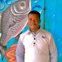 original sound - propredufaso