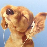 sparklejumpropeking2