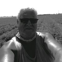 tonysirex