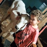 .ferdinando8