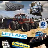 If she not blue she wont do