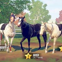 rival.starz.queen