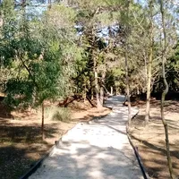 original sound - andres10sl.argent