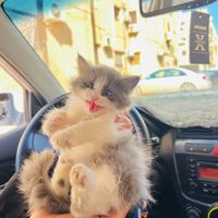 esra_ali04