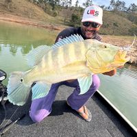 ronilsonpescaesportiva