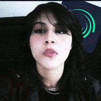 lays_reis2