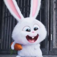 lapin13bunnyt