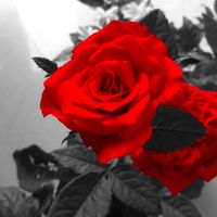 writer_lostinthought