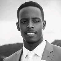 original sound - lion.nz3