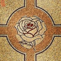 knightoftherose1987