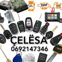 celsa.gim_mera