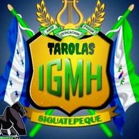tarolasgmh2026