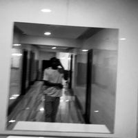 king_qurbo43