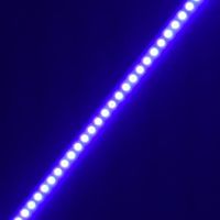 user_567788533