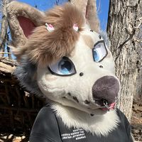 vapourmuttz