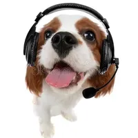 original sound - sethylovesyu