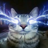 fire_in_the_holeeeeeee