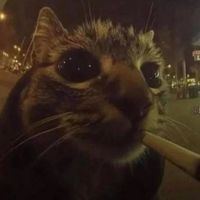 use this sound if you like children