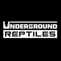 undergroundreptiles
