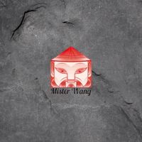 misterwangslavija