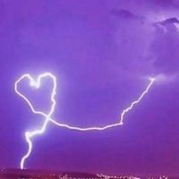 cuore_viola._tiamo