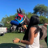sonido original