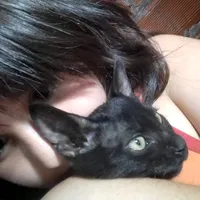 original sound - mercu.rio0800