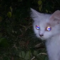 original sound - sonxify