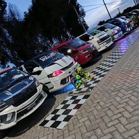 stylish.cars.family
