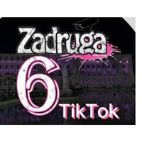 zadruga_6_tiktok