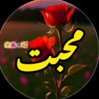 original sound - zoyawriter09