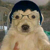rodolfo_chan