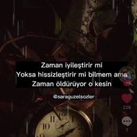 0738hya
