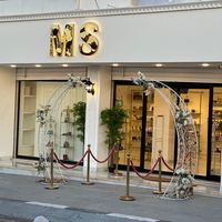 ms_group_2015