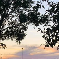 original sound - healing.whisper