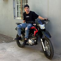 maxi_lombardo