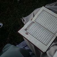 hiyaam01
