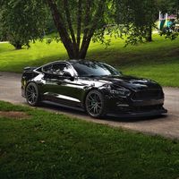 medusa5oh