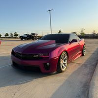 catfish_zl1