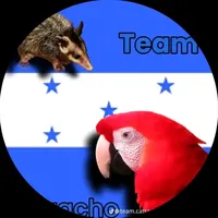 original sound - 161musica