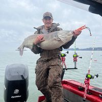 chattahoocheecatfishing