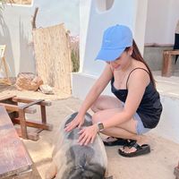 เสียงต้นฉบับ - เหมียวน้อยขายทุกอย่าง