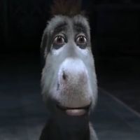 original sound - Mrs Song Mingi