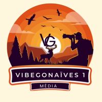 vibegonaives1