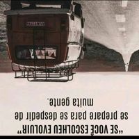anjo.do.asfalto