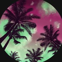 50 0 BashfortheWorld