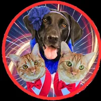 Am I cute enough to be your friend